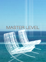 Master Level